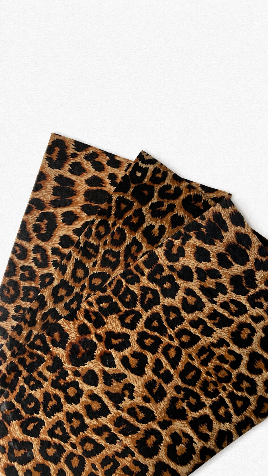 Fur édition - Intense leopard