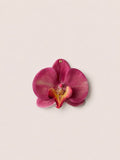 F002