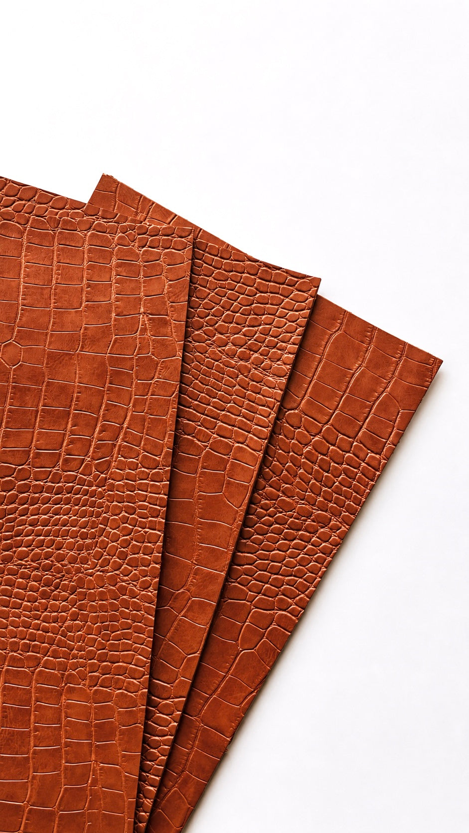 Croco édition - Camel