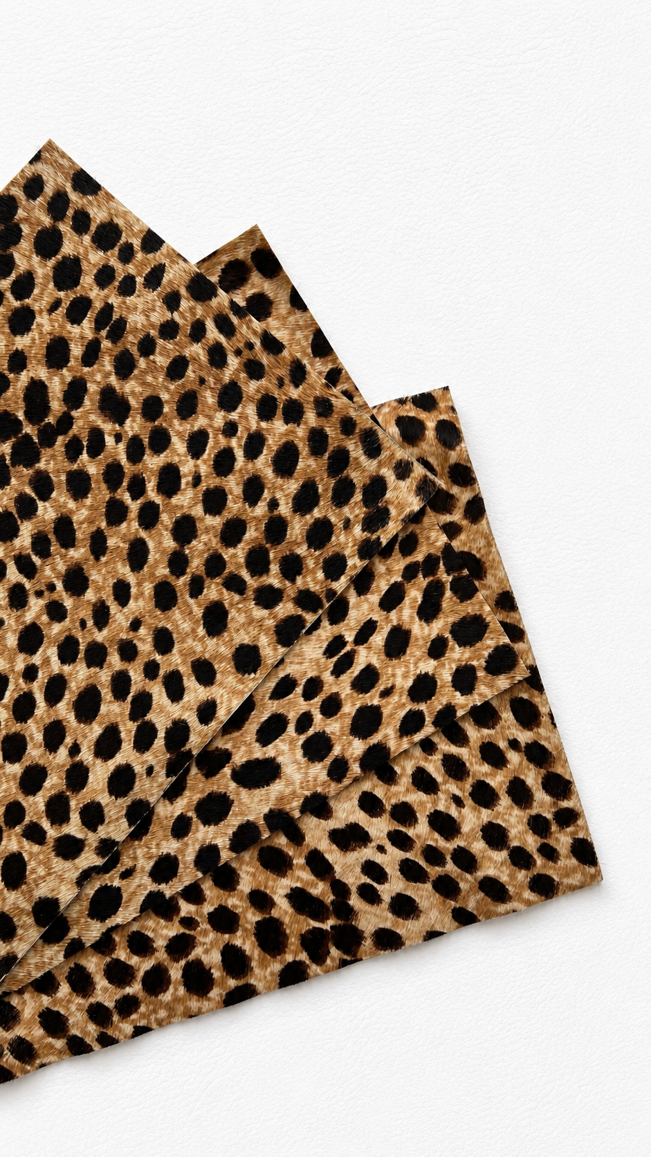Fur édition - Guépard